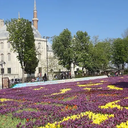 Bluemosque Luxury İstanbul